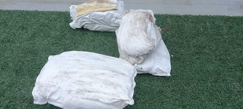 Agentes da Base Arpão apreendem pescado ilegal no rio Solimões