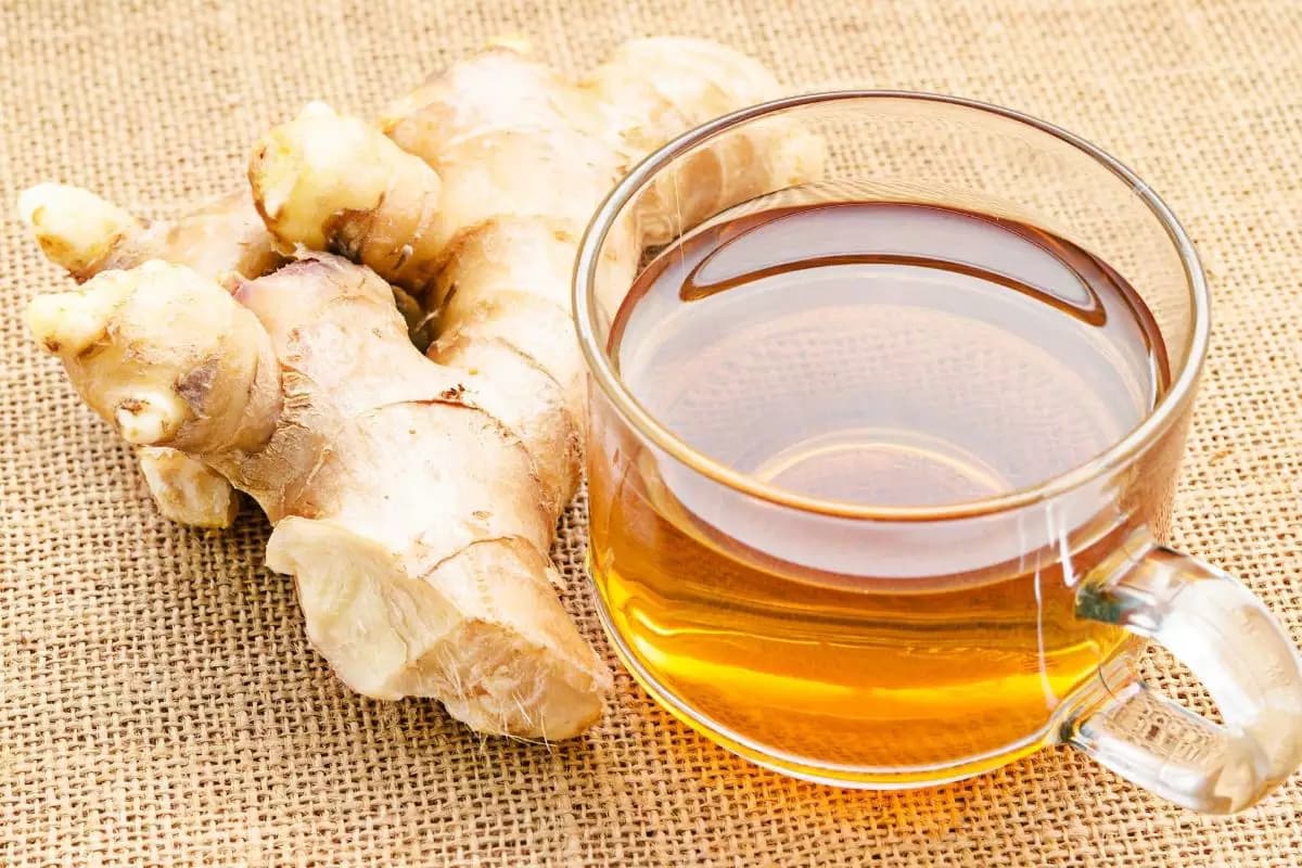 Chá de gengibre: Veja 4 formas de potencializar a bebida e seus benefícios