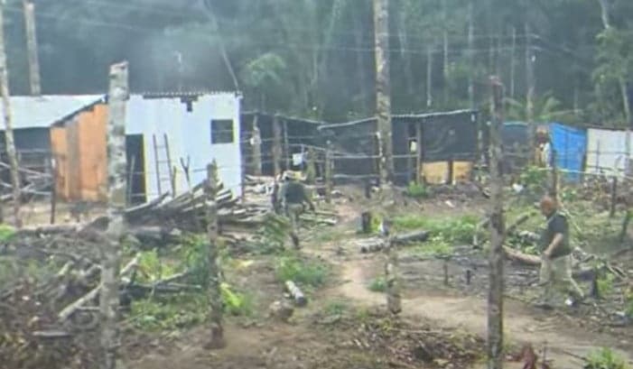 Operação: mais de 300 barracos são retirados de invasão na Reserva Adolpho Ducke