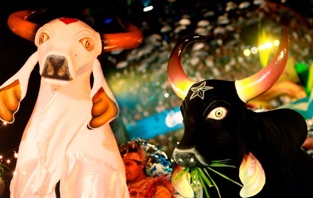 55º Festival Folclórico de Parintins em 2022 já tem data definida