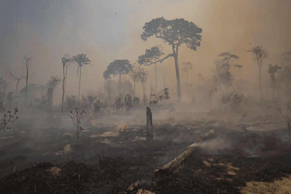 Desmatamento na Amazônia Legal bate recorde em abril, segundo Inpe