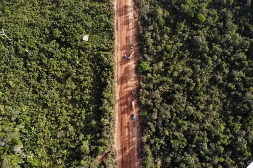 Ipaam libera reconstrução do “trecho do meio” da BR-319