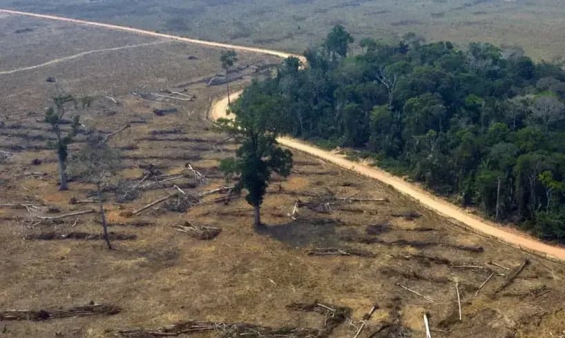 Amazônia tem pior alerta de desmatamento para setembro desde 2019