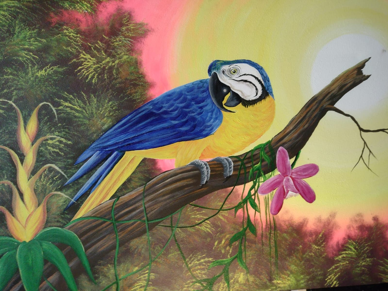 Exposição “Manaus em Telas” é realizada até esta terça-feira (25)