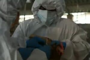 Equador declara emergência sanitária devido surto de gripe aviária