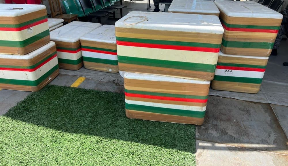 800 quilos de pescado ilegal é apreendido em Coari