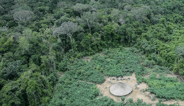 Medida que permitia exploração de madeira em terras indígenas é revogada