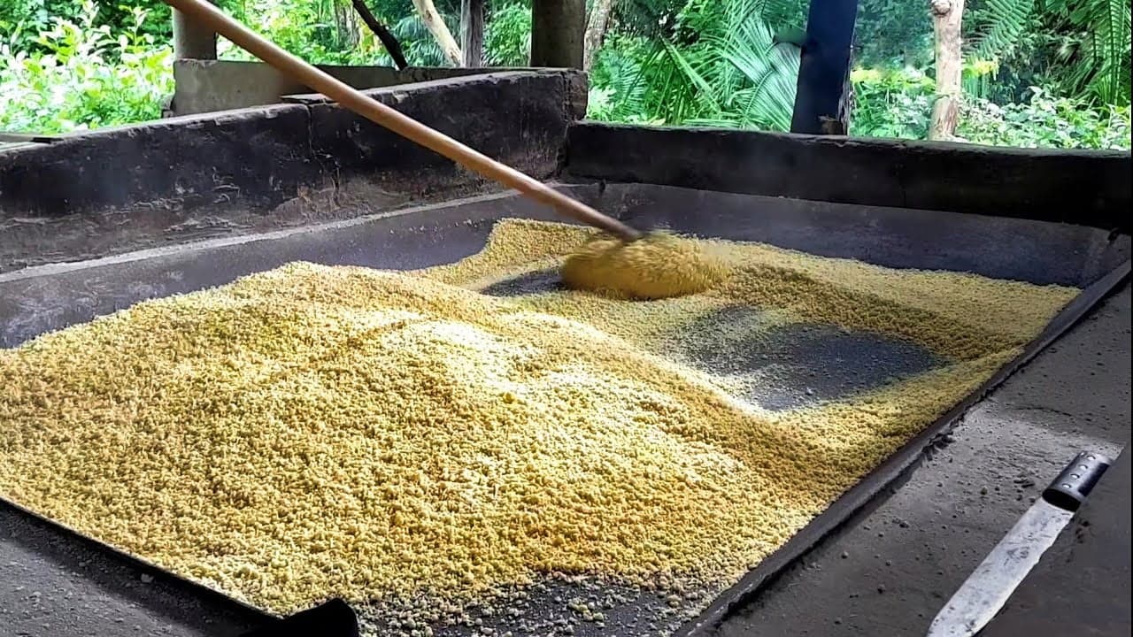 Edital vai distribuir kits ‘Casa de Farinha’ para associações rurais; veja como participar