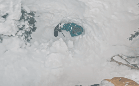 VÍDEO: Homem fica preso de cabeça para baixo na neve e cena choca internet