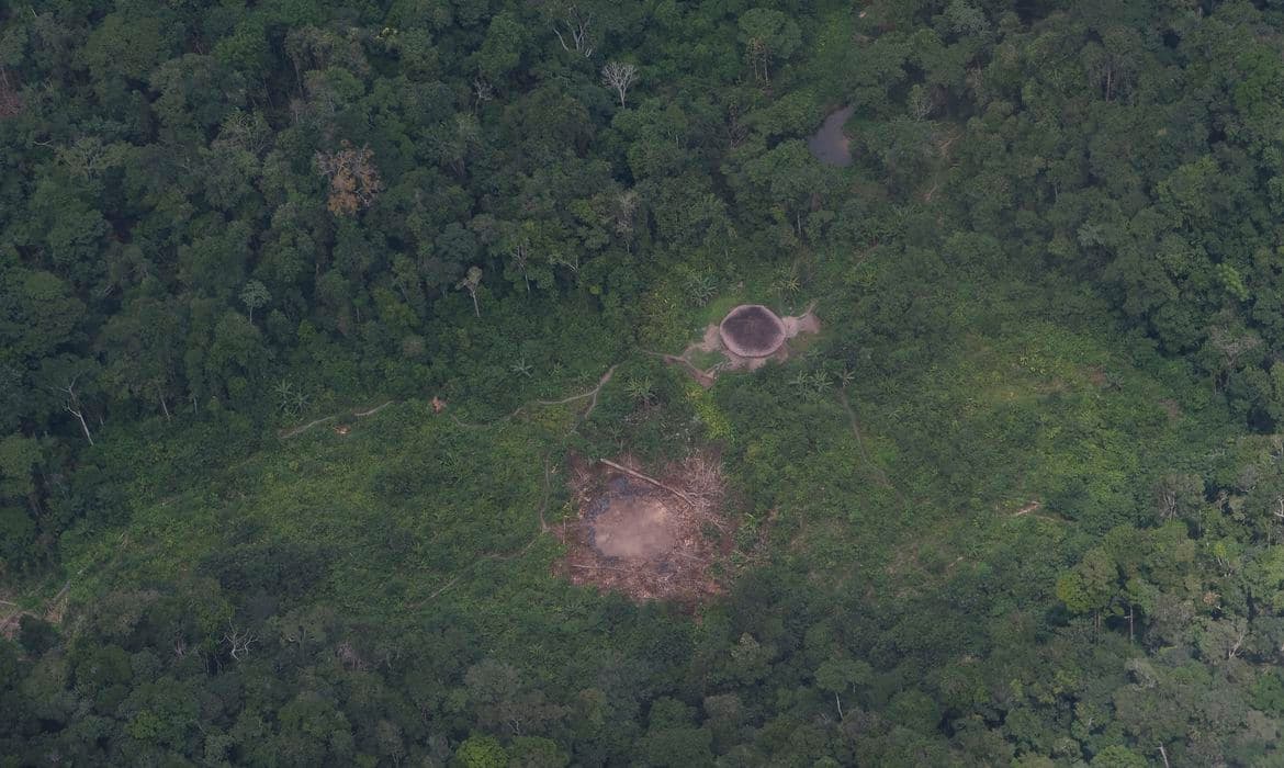 Justiça manda soltar garimpeiros presos em terra Yanomami
