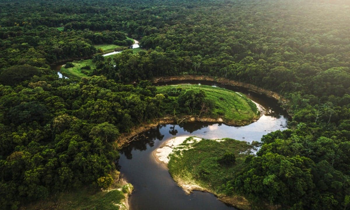 Fundo Amazônia pode liberar R$ 1 bi para ampliar segurança na região