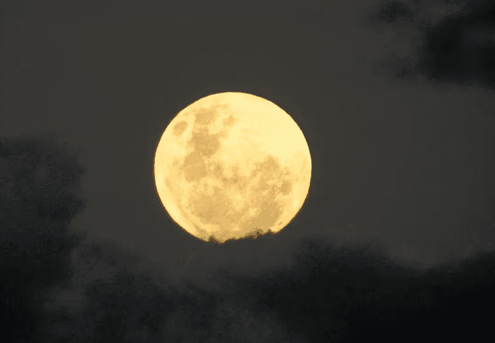 Superlua poderá ser vista em todo o Brasil nesta terça-feira (1º)