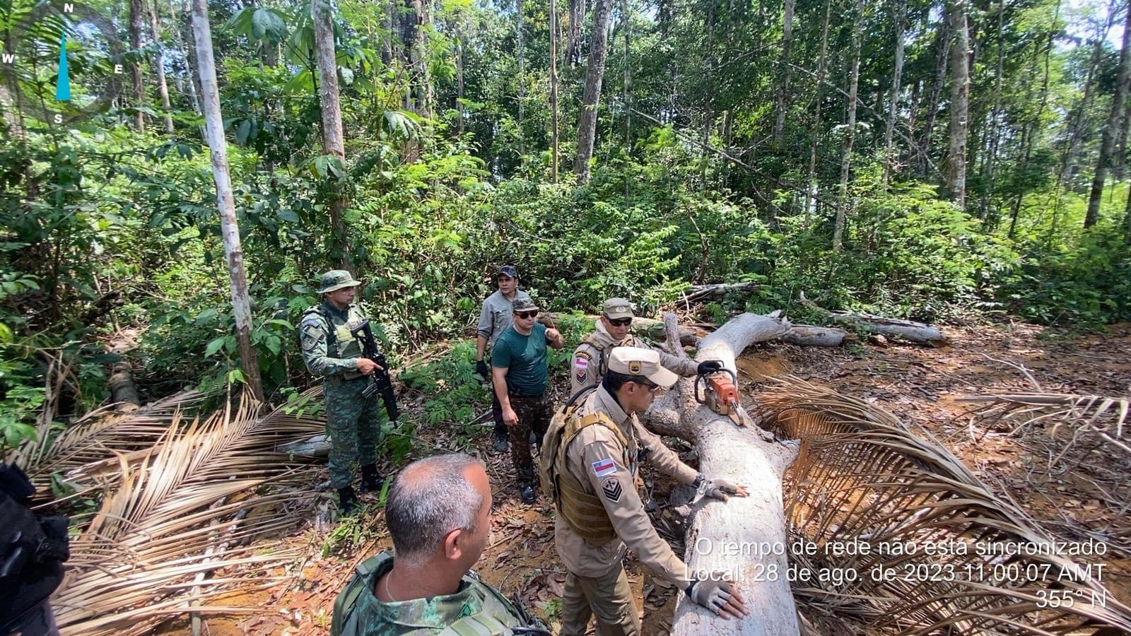 Operação contra crimes ambientais resulta em multas de R$ 10 milhões no sul do AM