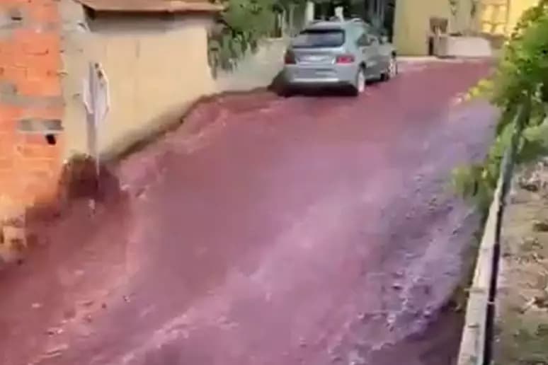 VÍDEO: “Rio” de vinho inunda ruas de cidade em Portugal após vazamento