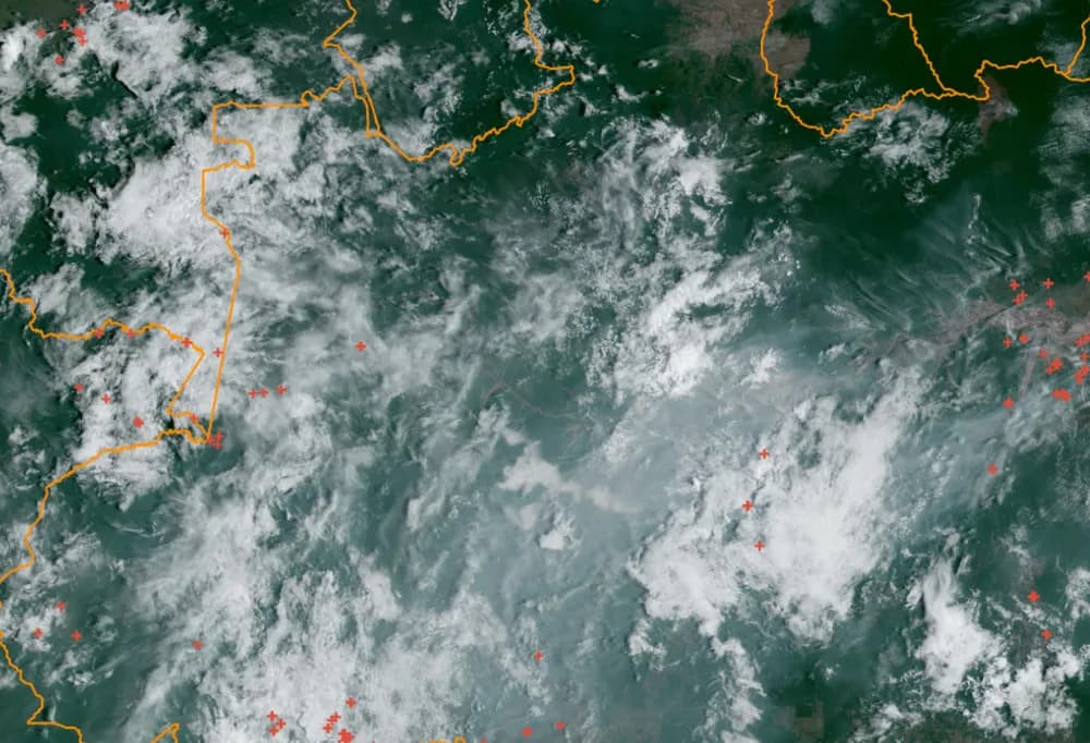Queimadas: AM já registra pior outubro dos últimos 25 anos