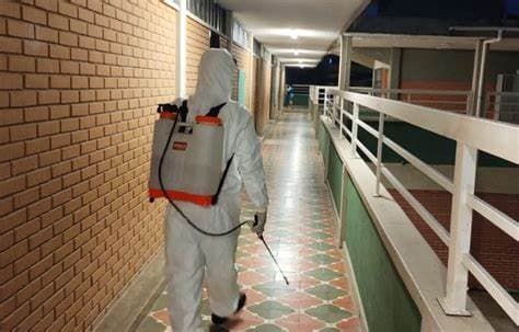 Conheça a bactéria suspeita de causar mortes de crianças em Minas Gerais