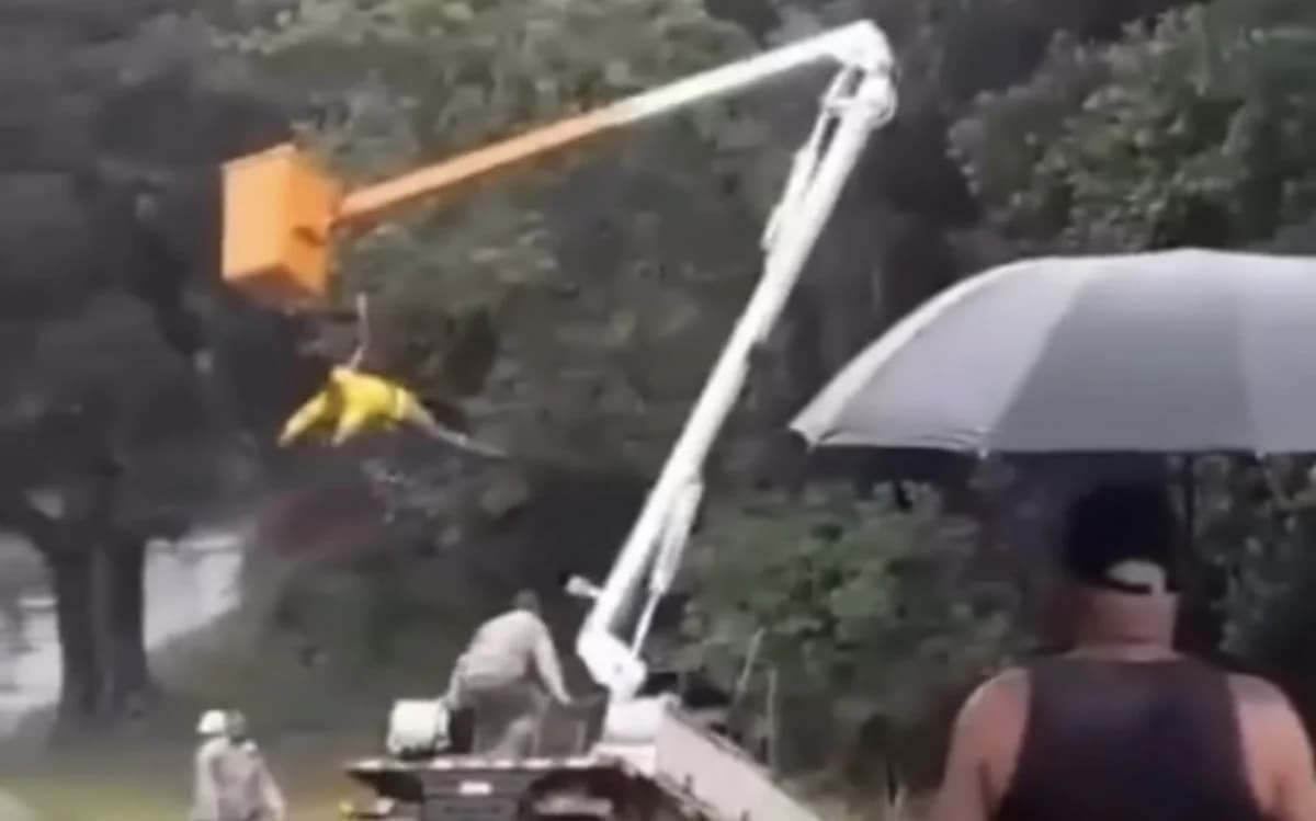 VÍDEO: Funcionário de concessionária de energia fica pendurado durante serviço