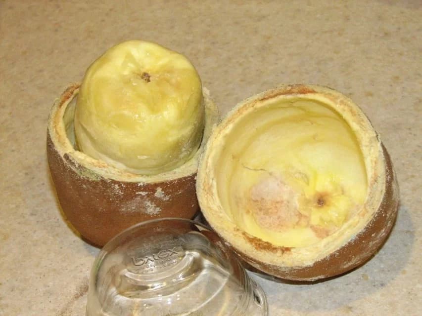 Cupuaçu é declarado “fruta domesticada” por pesquisadores