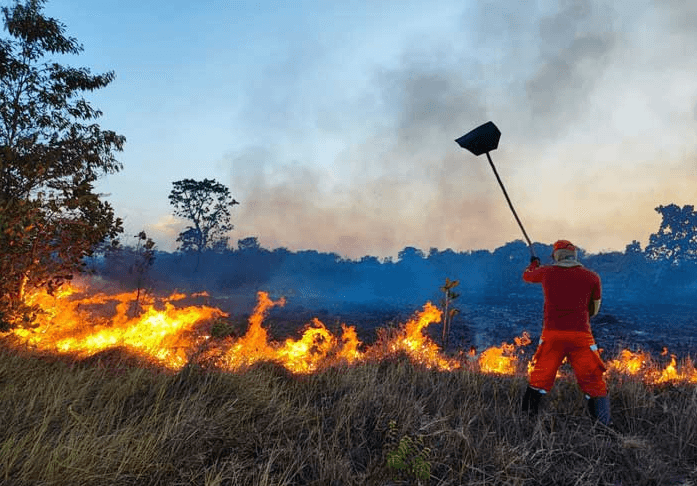 Amapá registra maior número de incêndios da história
