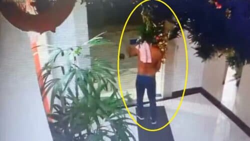 VÍDEO: Sem conseguir entrar nos apartamentos, homem furta árvore de Natal de condomínio, no RJ