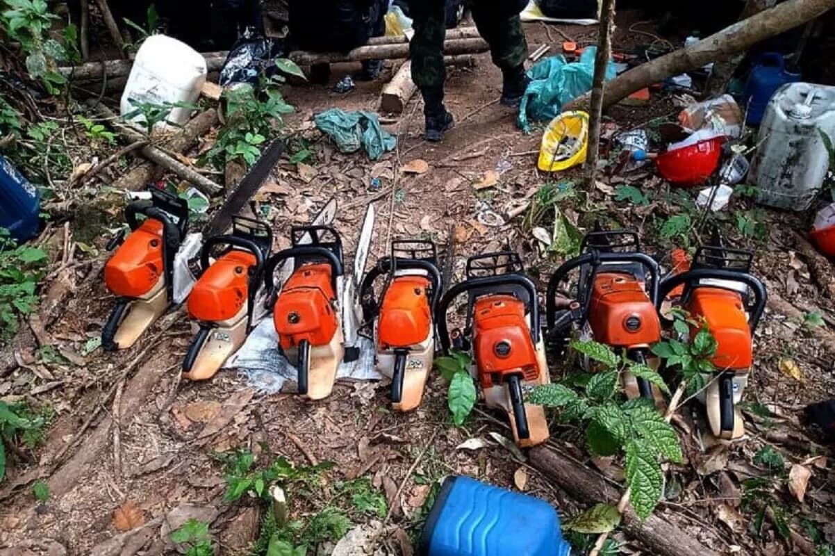 “Bota pra derreter”: Maior devastador da Amazônia usava a filha e advogada para crimes ambientais