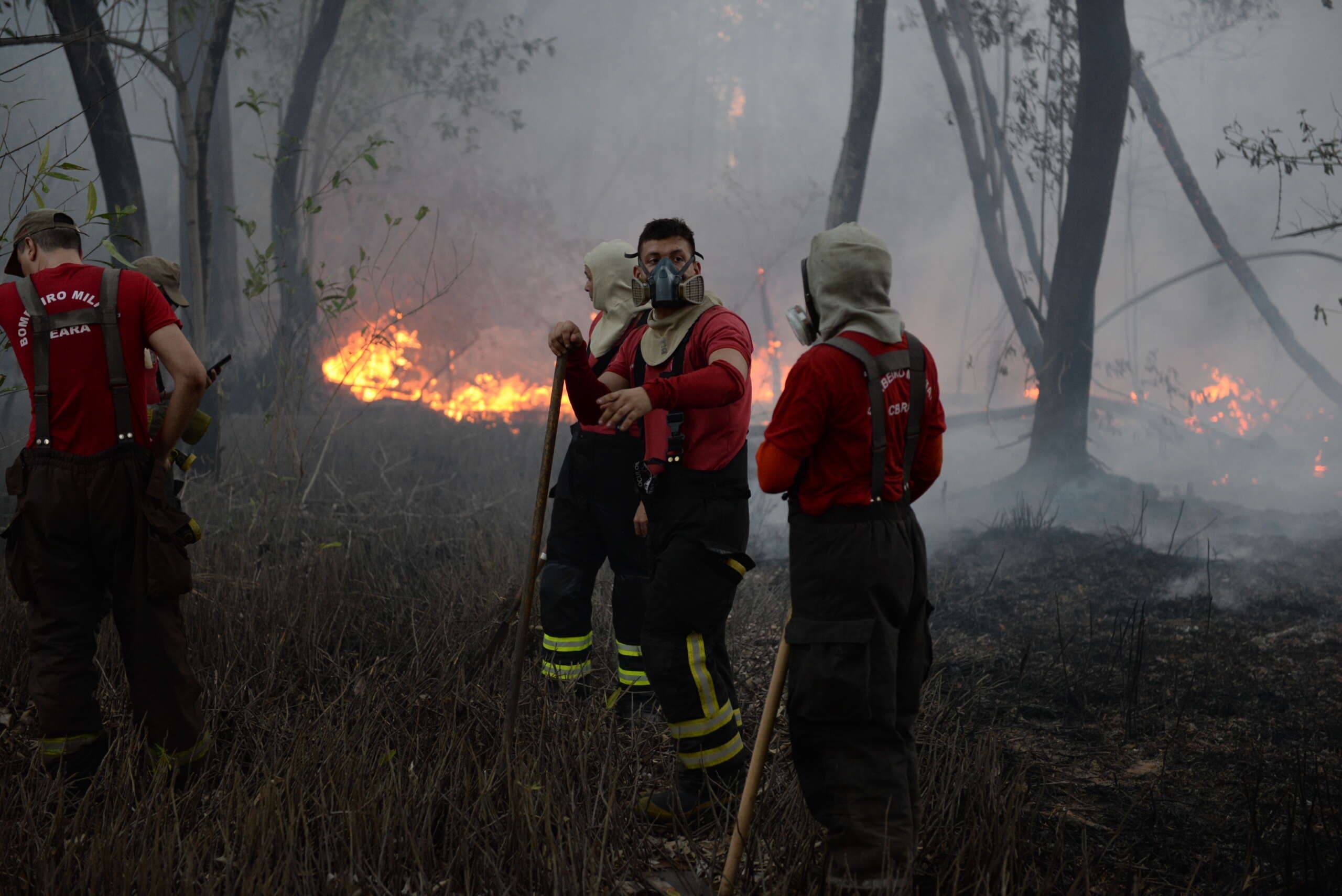 No Ceará, incêndio atinge maior parque em área urbana do Nordeste