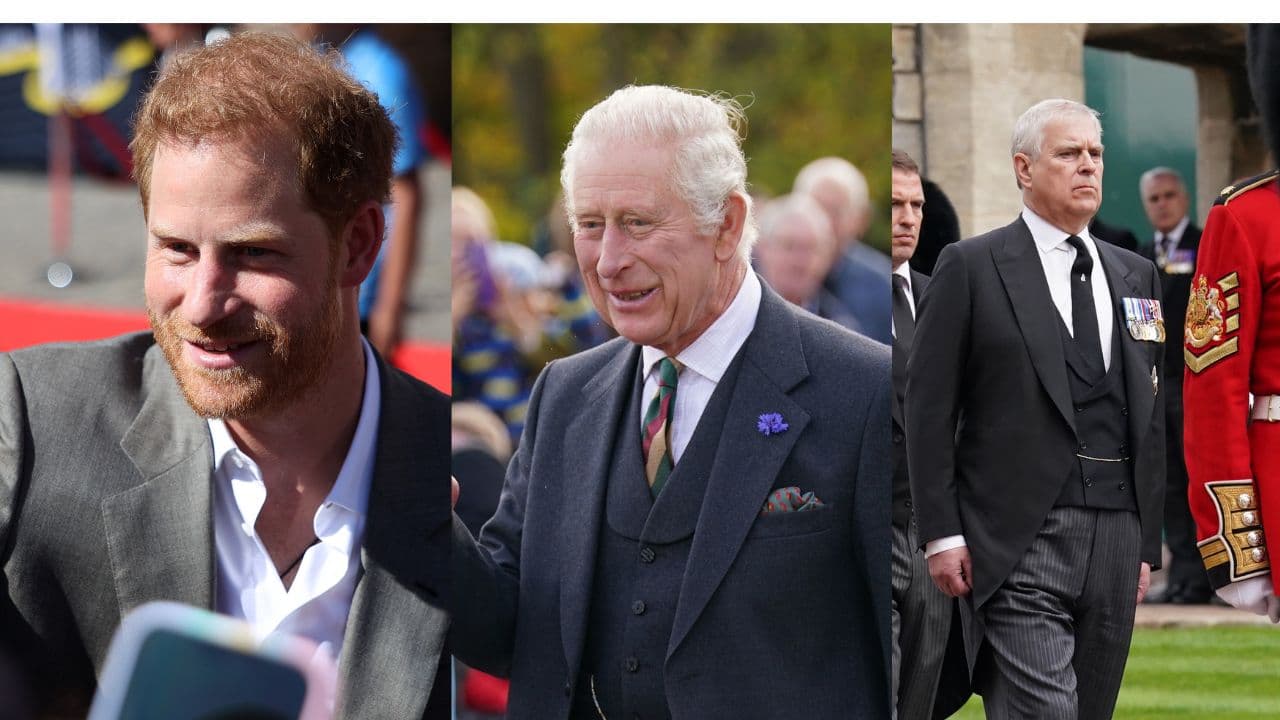 Príncipes Andrew e Harry não podem substituir rei Charles III