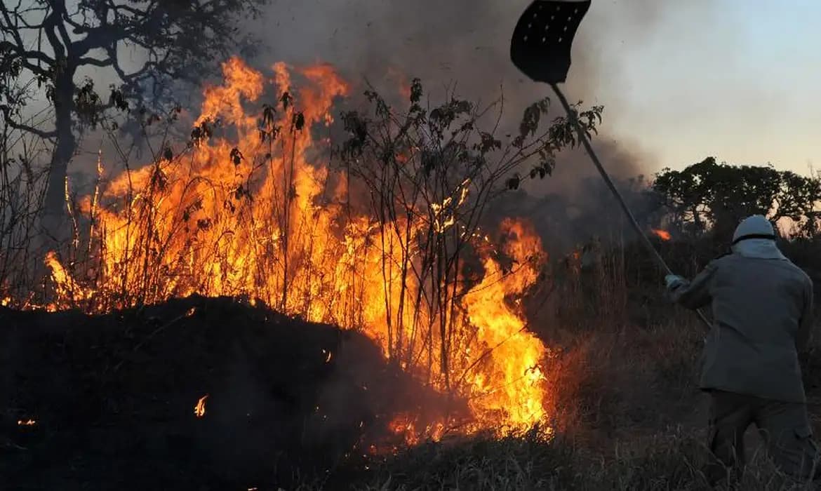 Corte no orçamento para incêndios preocupa bancada amazônida