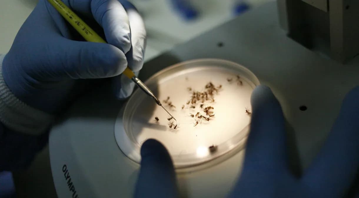 Com epidemia, RJ tem recorde de internações por dengue