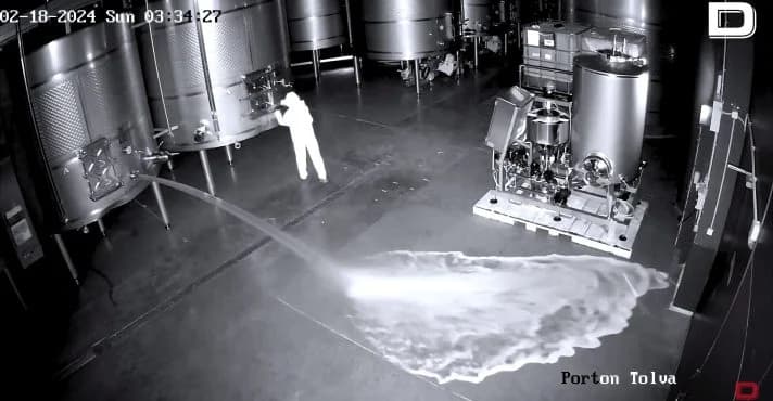 VÍDEO: Mulher invade adega, abre barris de vinho e causa prejuízo de R$ 13 milhões, na Espanha