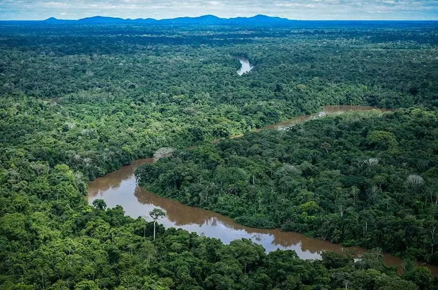 Amazônia: entenda qual é a geologia e relevo da maior floresta do mundo