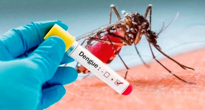 Dengue: Casos aumentam nas Américas em possível pior surto da história, aponta Opas