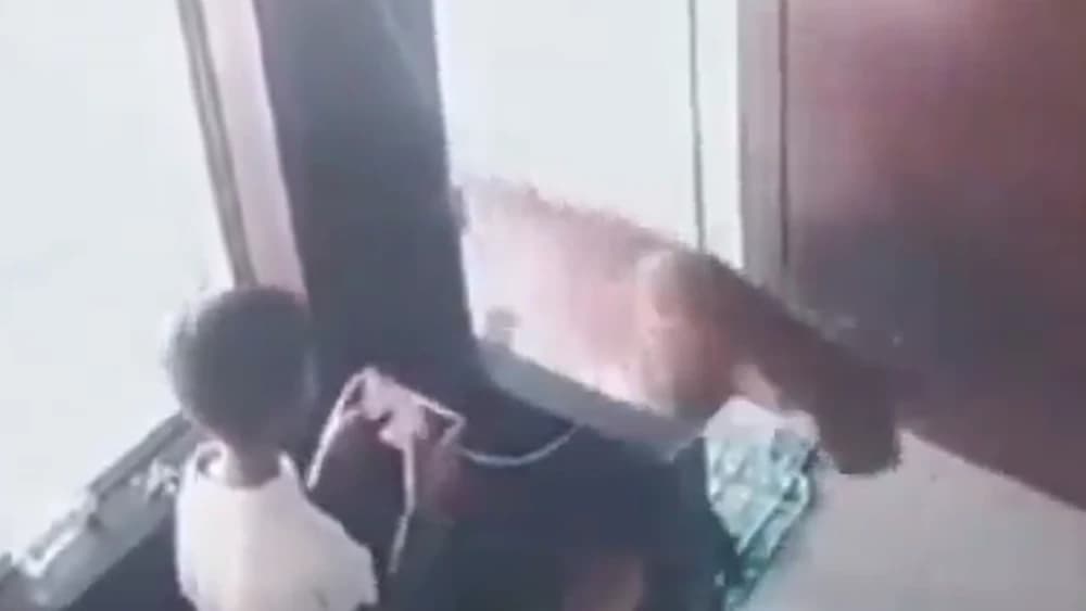 VÍDEO: Criança age rápido e prende leopardo que estava à solta, na Índia