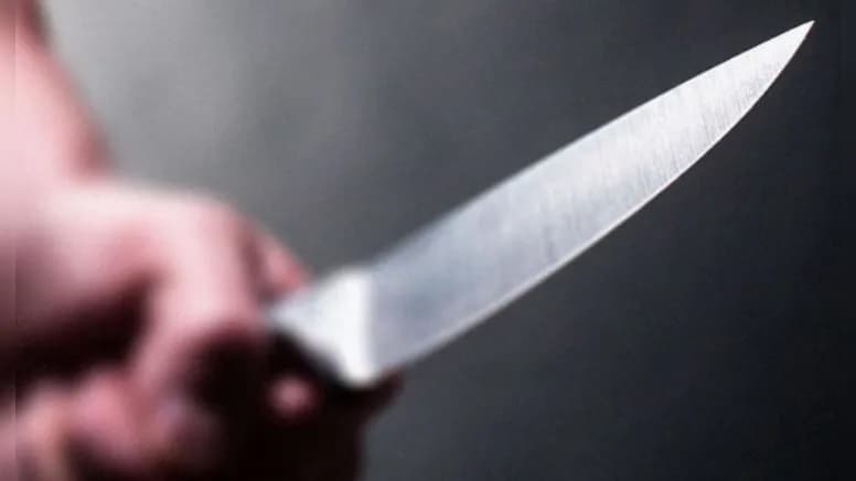 Criança de 9 anos esfaqueia e mata a própria mãe; polícia divulga o motivo do crime