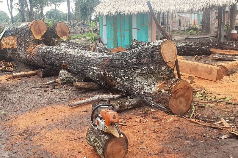 Em Parintins, homem é preso por crime ambiental após denúncia