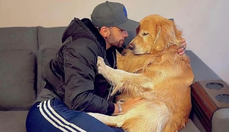 Justiça arquiva inquérito que investigava morte do cão Joca em voo da Gol; entenda