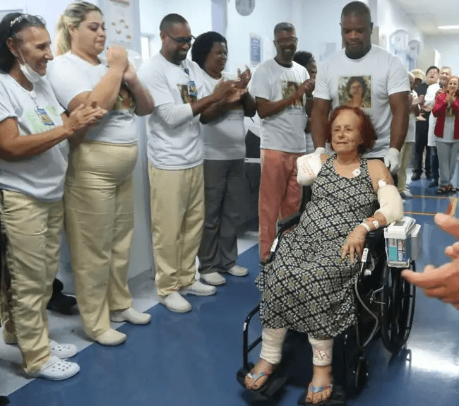 Justiça torna réus tutores de cães que atacaram escritora no RJ