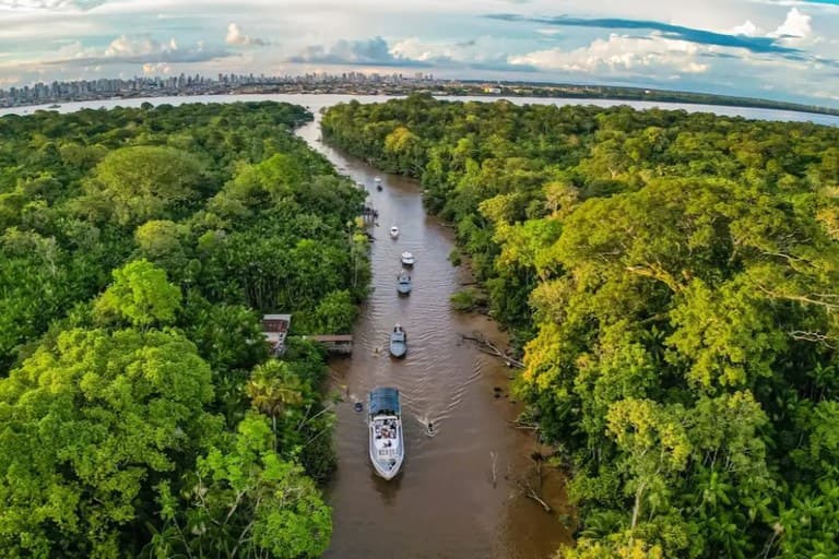 Maior bioma tropical do mundo: confira curiosidades fascinantes sobre a Floresta Amazônica