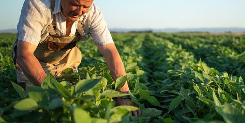 Deputados propõem projetos voltados para a proteção de trabalhadores rurais e do meio ambiente