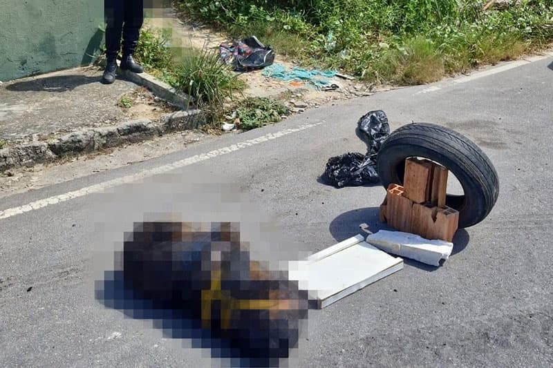 Cadela da raça rottweiler sofreu fraturas e morreu por asfixia mecânica, diz Dema