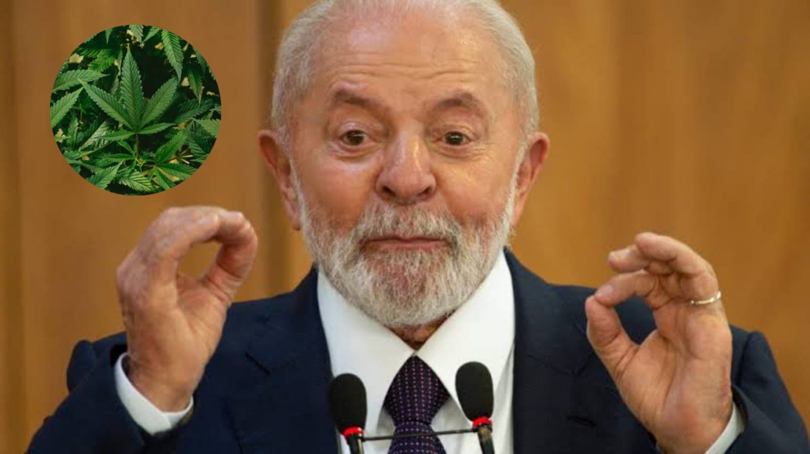 “Não é uma coisa de código penal, é coisa de saúde pública”, diz Lula sobre a descriminalização da maconha