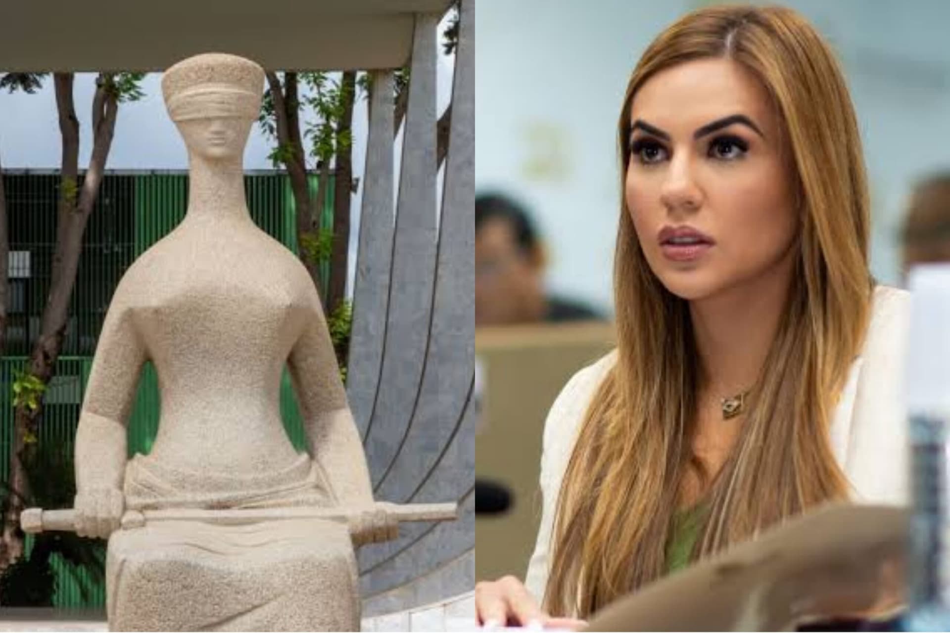 Por unanimidade, STF confirma suspensão de lei que proíbe linguagem neutra no Amazonas