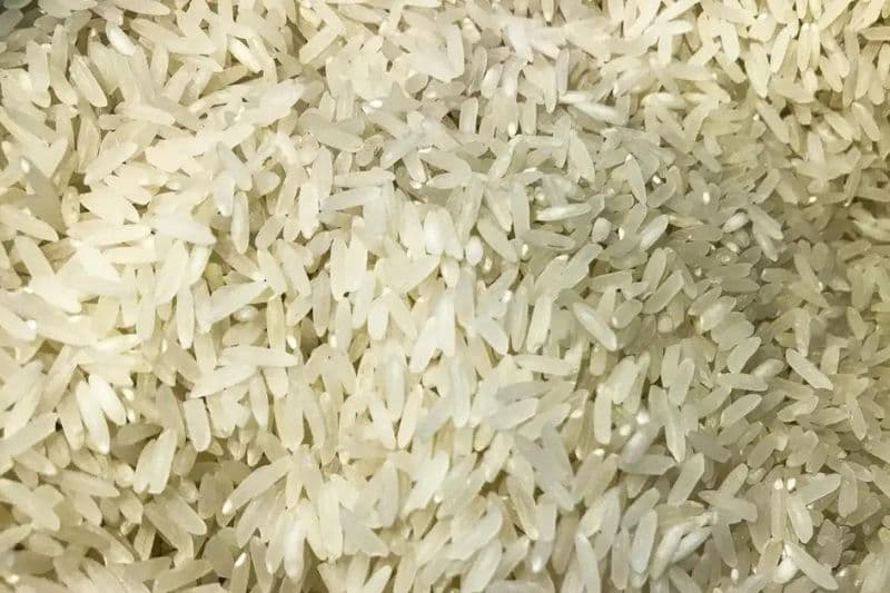 Justiça do RS suspende leilão do governo federal para compra de arroz importado