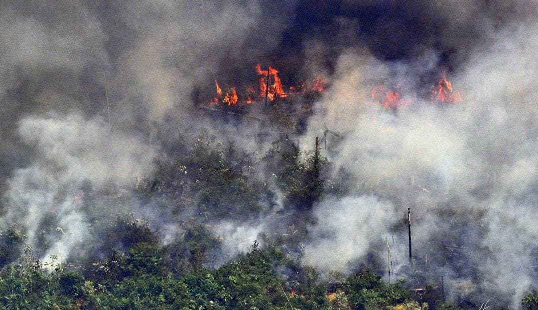 Focos de incêndio no Amazonas tem aumento de 110% no mês de junho de 2024, segundo o INPE