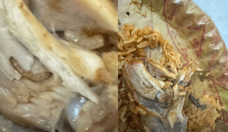 Homem expõe larva em frango comprado por aplicativo na Índia