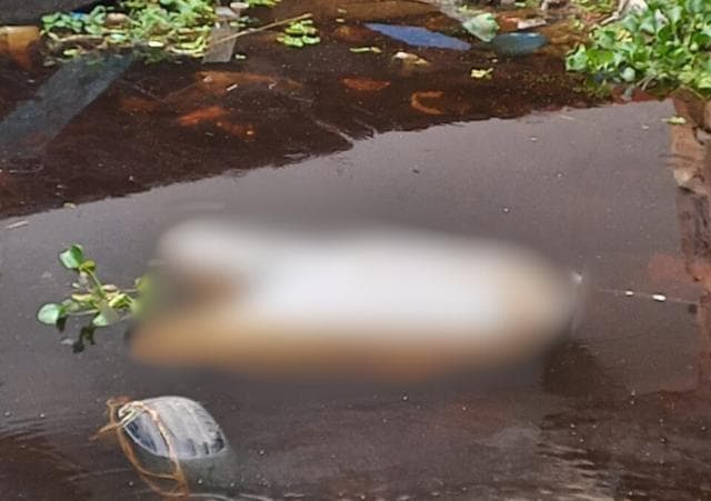 Corpo sem cabeça é encontrado boiando em rio, em Manaus