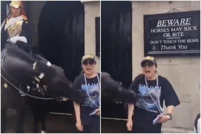 VÍDEO: Mulher desmaia após ser mordida por cavalo da Guarda Real britânica