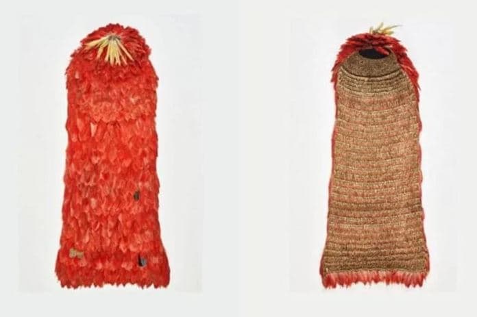 Museu Nacional e Tupinambás entram em polêmica após chegada de manto