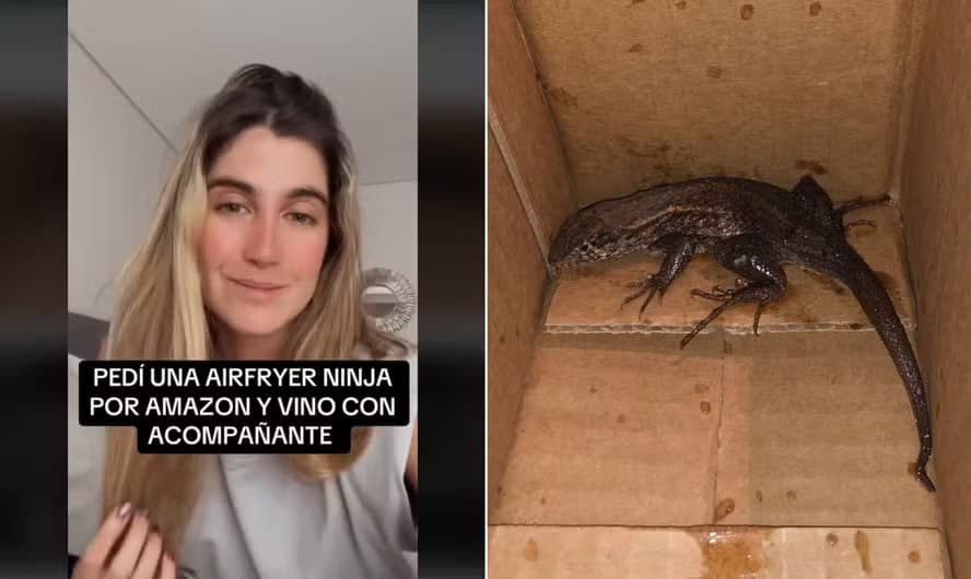 VÍDEO: Mulher na Colômbia compra airfryer pela Amazon e encontra lagarto na caixa