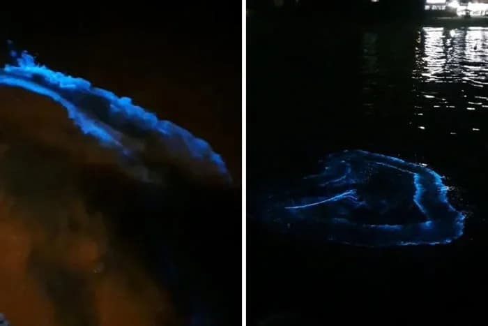 VÍDEO: Fenômeno “Maré azul” encanta ao mudar cor do mar em Balneário Camboriú